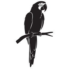 Black macaw parrot perched on branch vector illustration © Zulfa