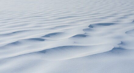 Snowy Landscape with Wind-formed Snow Drifts Under Soft Natural Light