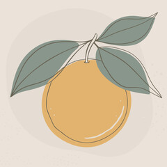 Tangerine Silhouette with Segmented Shape and Single Leaf Design Element