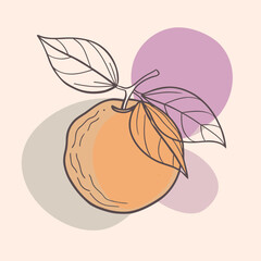 Tangerine Silhouette with Segmented Shape and Single Leaf Design Element