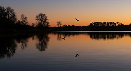 Obraz premium Serene Sunset Landscape with Calm Water and Flying Bird in Tranquil Nature Scene