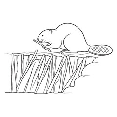 Ultimate Beaver Untamed Spirit Notion - Beaver vector - Beaver Line art - Beaver Drawing - Vector Lineart of Beaver - Beaver illustration - its true inherent wild being

