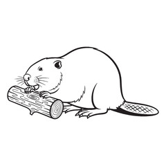 Expansive Beaver Ancient Aura Realm - Beaver vector - Beaver Line art - Beaver Drawing - Vector Lineart of Beaver - Beaver icon - its iconic creature enduring essence

