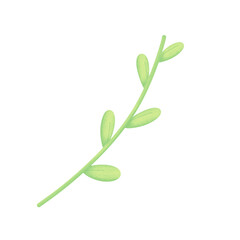 Pale Green Stem with Oval Leaves, Isolated Vector Illustration
