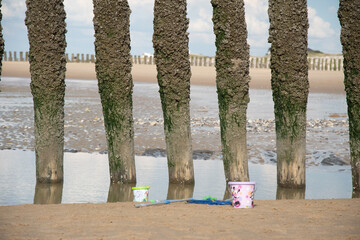 Série de pieux en bois planté dans le sable