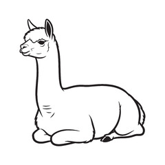 Primary Alpaca Defining Attribute Mark - Alpaca vector - Alpaca Line art - Alpaca Drawing - Vector Lineart of Alpaca - Alpaca illustration - its inherent primary enduring traits

