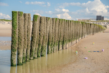 S&eacute;rie de pieux en bois plant&eacute; dans le sable