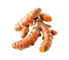 Turmeric (Curcuma longa Linn) rhizome isolated on white background Turmeric (Curcuma longa Linn