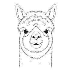 Unique Alpaca Long Neck Feature Mark - Alpaca vector - Alpaca Line art - Alpaca Drawing - Vector Lineart of Alpaca - Alpaca illustration - its defining elegant physical characteristic

