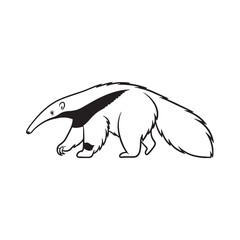 Elongated Anteater Snout Feature Mark - Anteater vector - Anteater Line art - Anteater Drawing - Vector Lineart of Anteater - Anteater illustration - its primary defining physical characteristic

