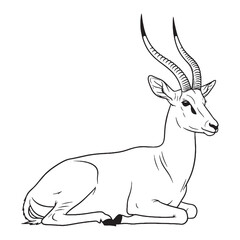 Total Antelope Physical Makeup Model - Antelope vector - Antelope Line art - Antelope Drawing - Vector Lineart of Antelope - Antelope icon - its profound core physical fixed form

