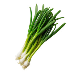 Fresh green onion on transparent background