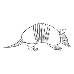 Authentic Armadillo Hidden Identity Glimpse - Armadillo vector - Armadillo Line art - Armadillo Drawing - Vector Lineart of Armadillo - Armadillo icon - its fundamental digging animal spirit

