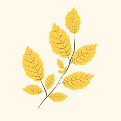 Autumn yellow leaves branch tree isolated. Plant for autumn season banner. Vector illustration