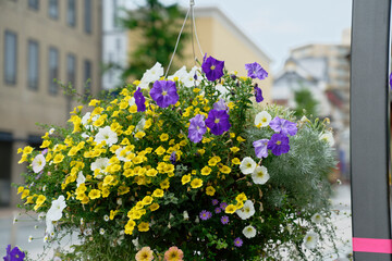 flowers pot hanging on the lamp post in the street