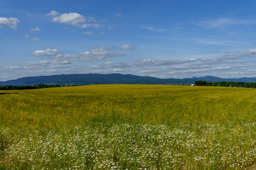 Meadow landscape with distant mountains and cultivated field under cloudy sky
