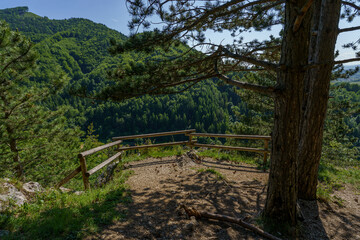 Mountain viewpoint with wooden railing and scenic mountain backdrop
