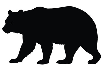 Fototapeta premium Black Silhouette of a Walking Bear Isolated on White Background, Side View
