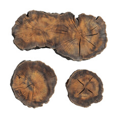 Tree stump top view and side view isolated on white or transparent background Cutout PNG