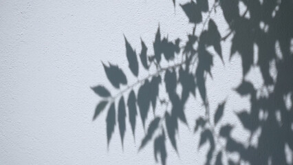 Soft leaf shadows dance across sunlit white wall, evoking calm and simplicity. These leaf shadows create minimal, nature-inspired aesthetic, foliage silhouette