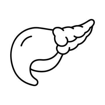 hand drawn vector illustration of pancreas
