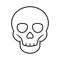 Fototapeta premium human skull vector illustration