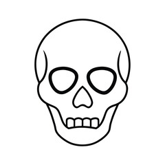 Fototapeta premium human skull vector illustration