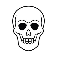 Fototapeta premium human skull isolated on white