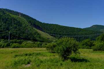 Power line running from a high forested mountain with red and white utility poles