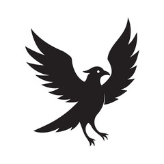 Seagull Flying With Wings Fully Spread