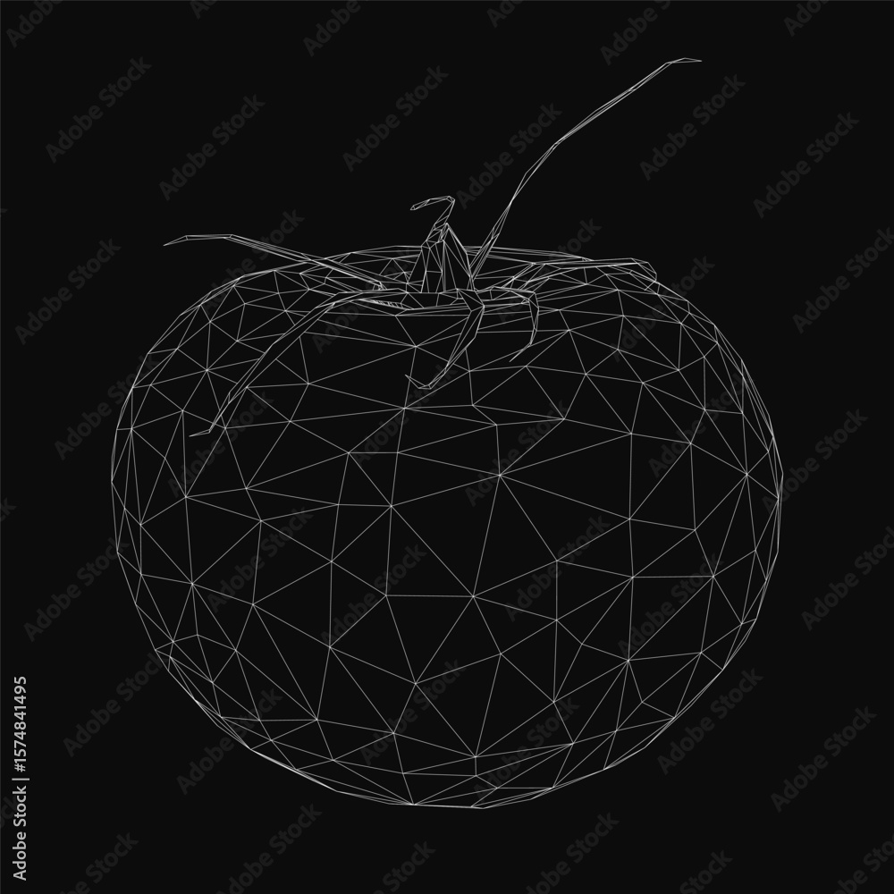 Poster low poly tomato rendered in wireframe style with a 3d effect, placed on a black background for strik