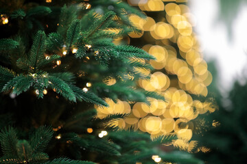 green Christmas tree closeup