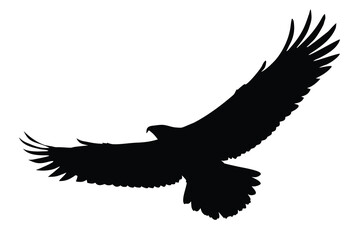 Obraz premium eagle on white background