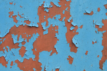 Old blue paint peeling off on a rusty metal surface. Texture