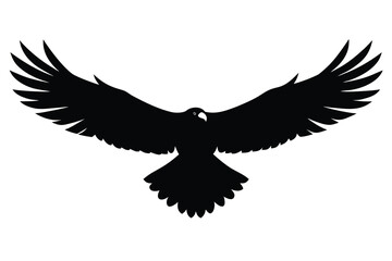 Obraz premium eagle in flight