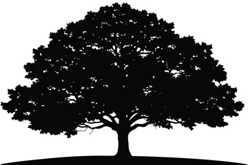 silhouette of tree