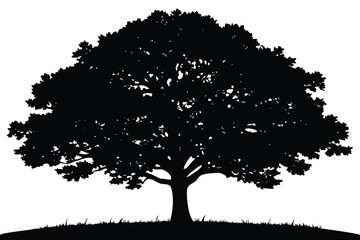 Fototapeta premium tree silhouette vector