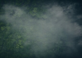 Misty view of forest top down