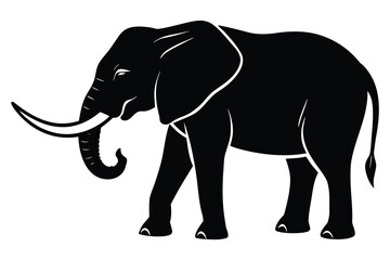 Fototapeta premium elephant vector illustration