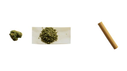 Close-up of Jack Herer medical cannabis buds alongside a rolled joint