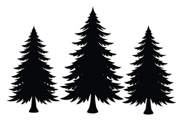 Three Silhouette Pine Trees Isolated on White Background, Evergreen Forest Coniferous Trees