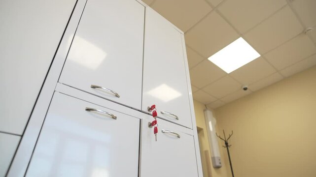 Sturdy lockers with metallic finish line bright hospital hallway. Secure compartments with locks and keys support safe visitor storage