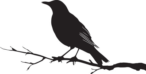 Obraz premium Single Bird Silhouette on Branch Vector Art Isolated.