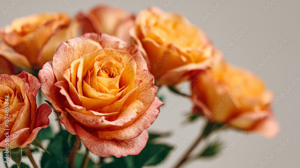 Poster a close up shot of a bouquet of peach colored roses with a soft focus background in a studio setting