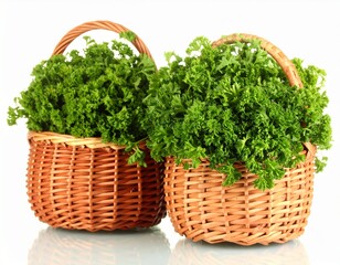 basket of fresh herbs