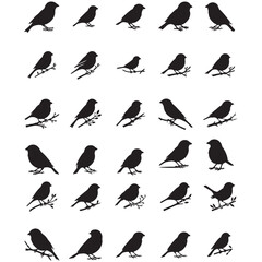 Set of Sparrow Silhouette On A White Background