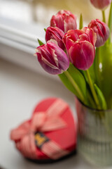 Top photo of bouquet of vibrant pink tulips in focus with a blurred red heart-shaped gift box in a background. Perfect for themes of love, romance, Valentine's Day, celebration, and special occasions.