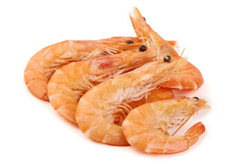 Cooked Shrimps, Isolated on White Background