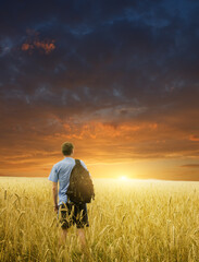 Man in yellow wheat meadow.