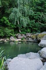 Serene green pond surrounded by large rocks and dense forest foliage.